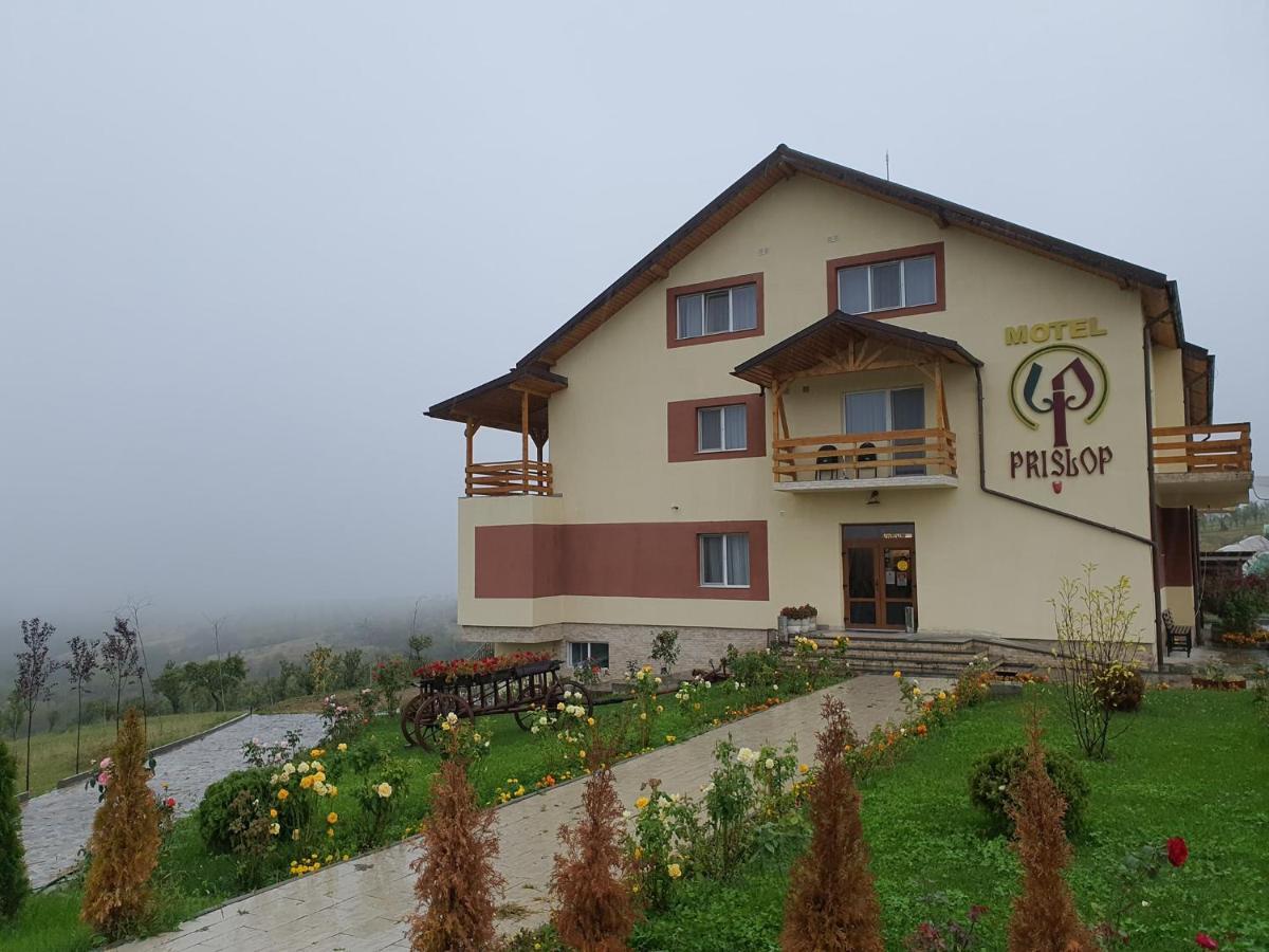 Motel Prislop Hateg Exterior photo